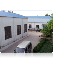 ��˾����